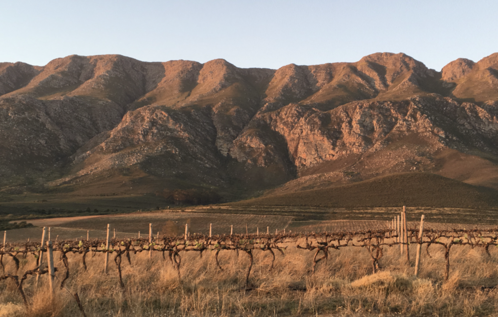 Screenshot 2021-09-27 at 19.39.44