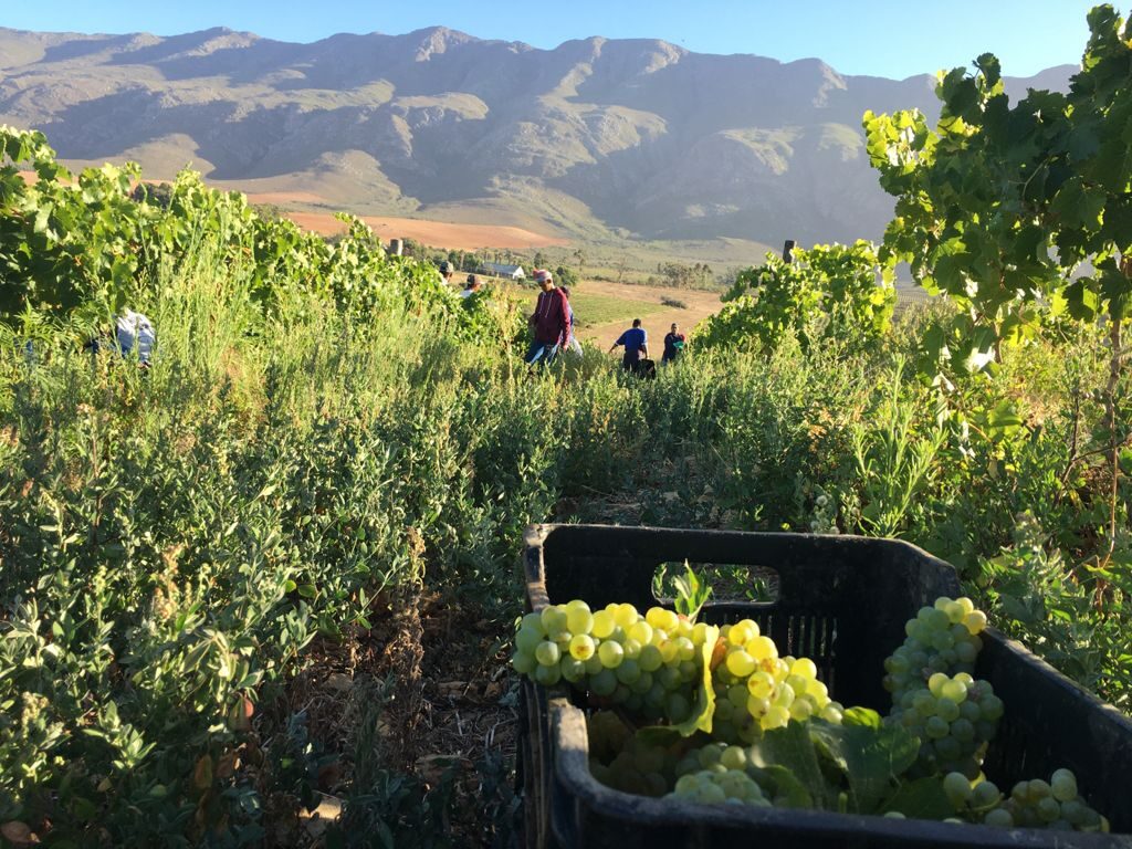 WhatsApp Image 2021-02-08 at 8.41.45 AM (1)