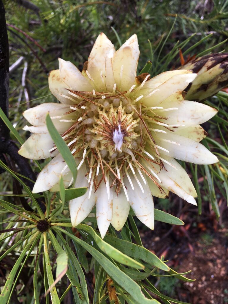 WhatsApp Image 2021-07-13 at 6.47.02 PM