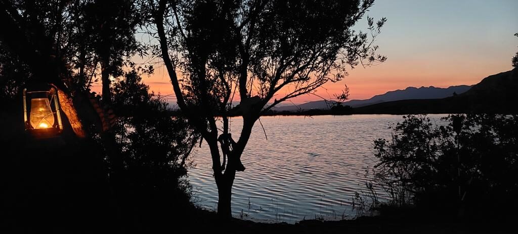 WhatsApp Image 2021-11-17 at 7.46.00 PM