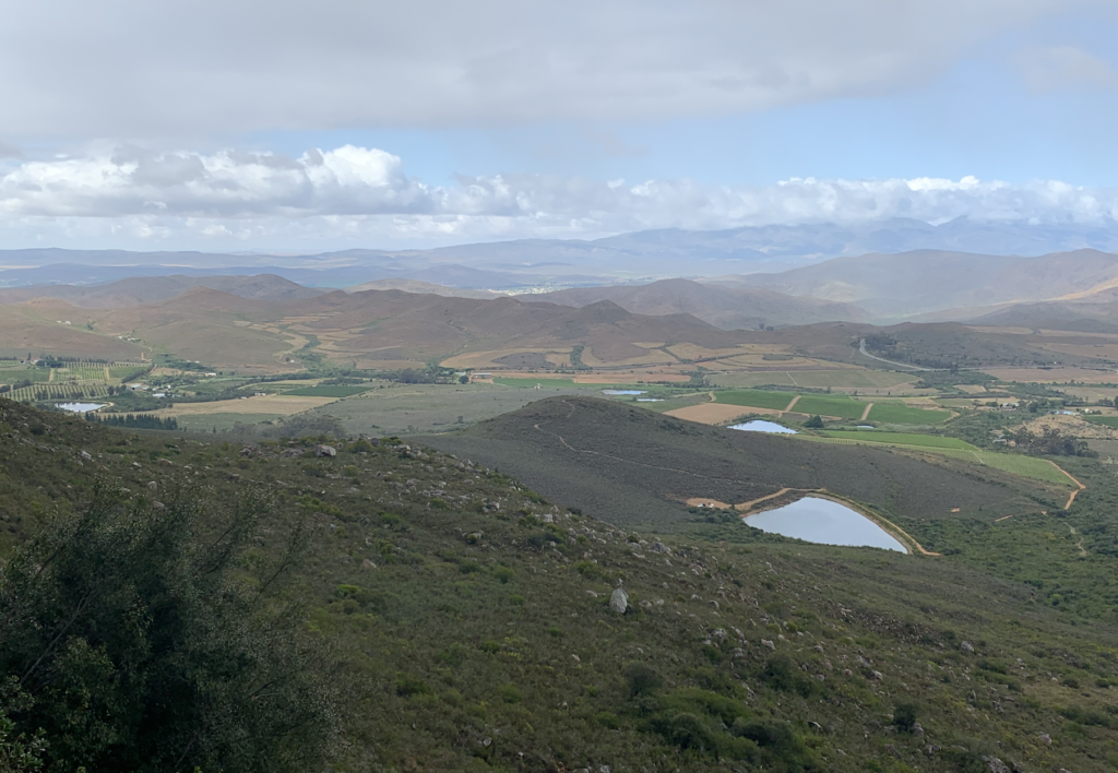 Screenshot 2022-11-27 at 18.20.59